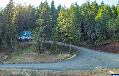 Driveway leading up to the A-frame cabin